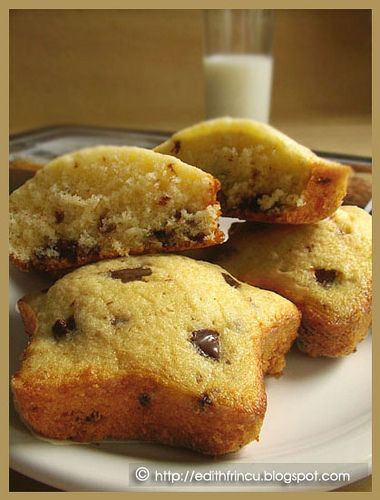 Chocolate chip muffins 1